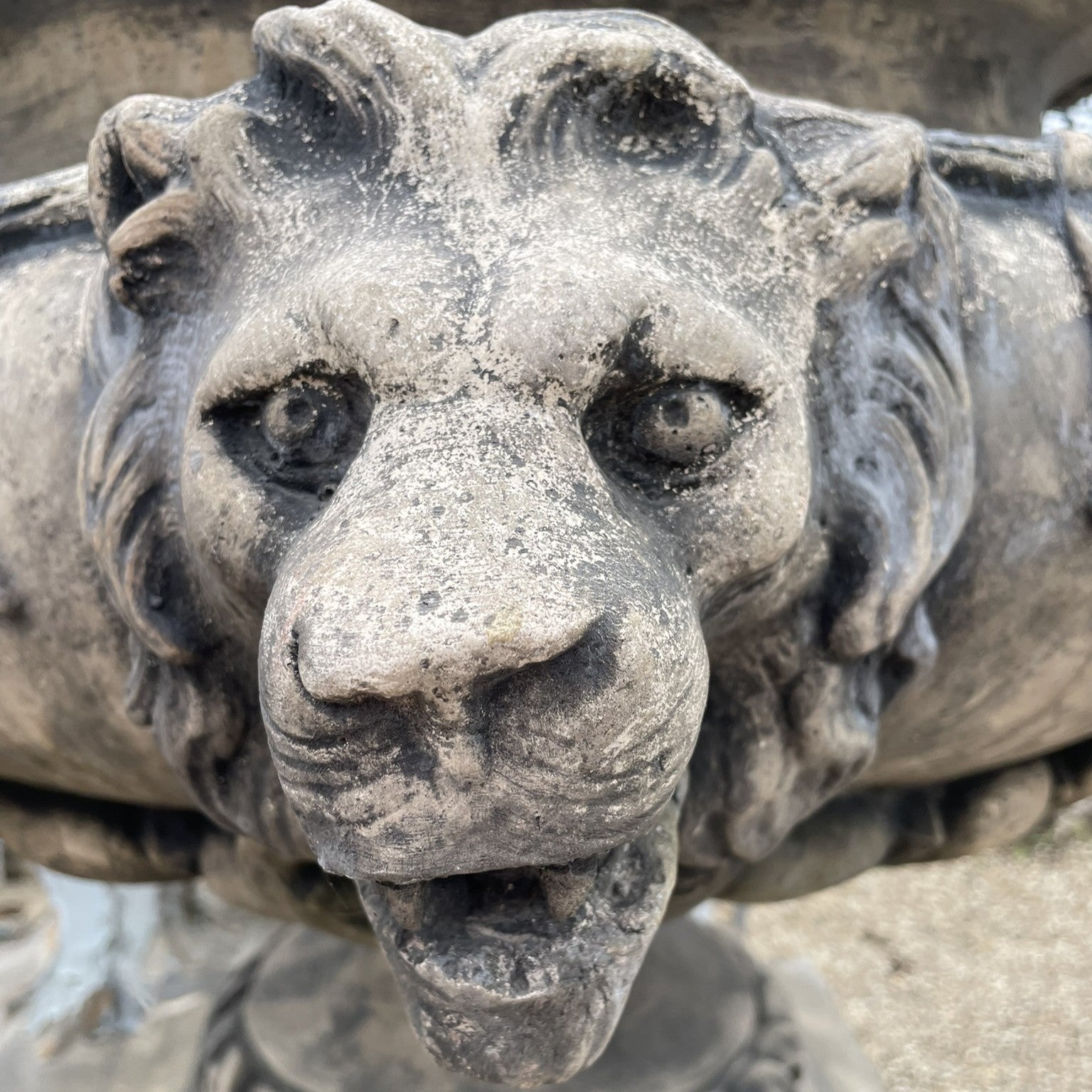 Garden & architectural