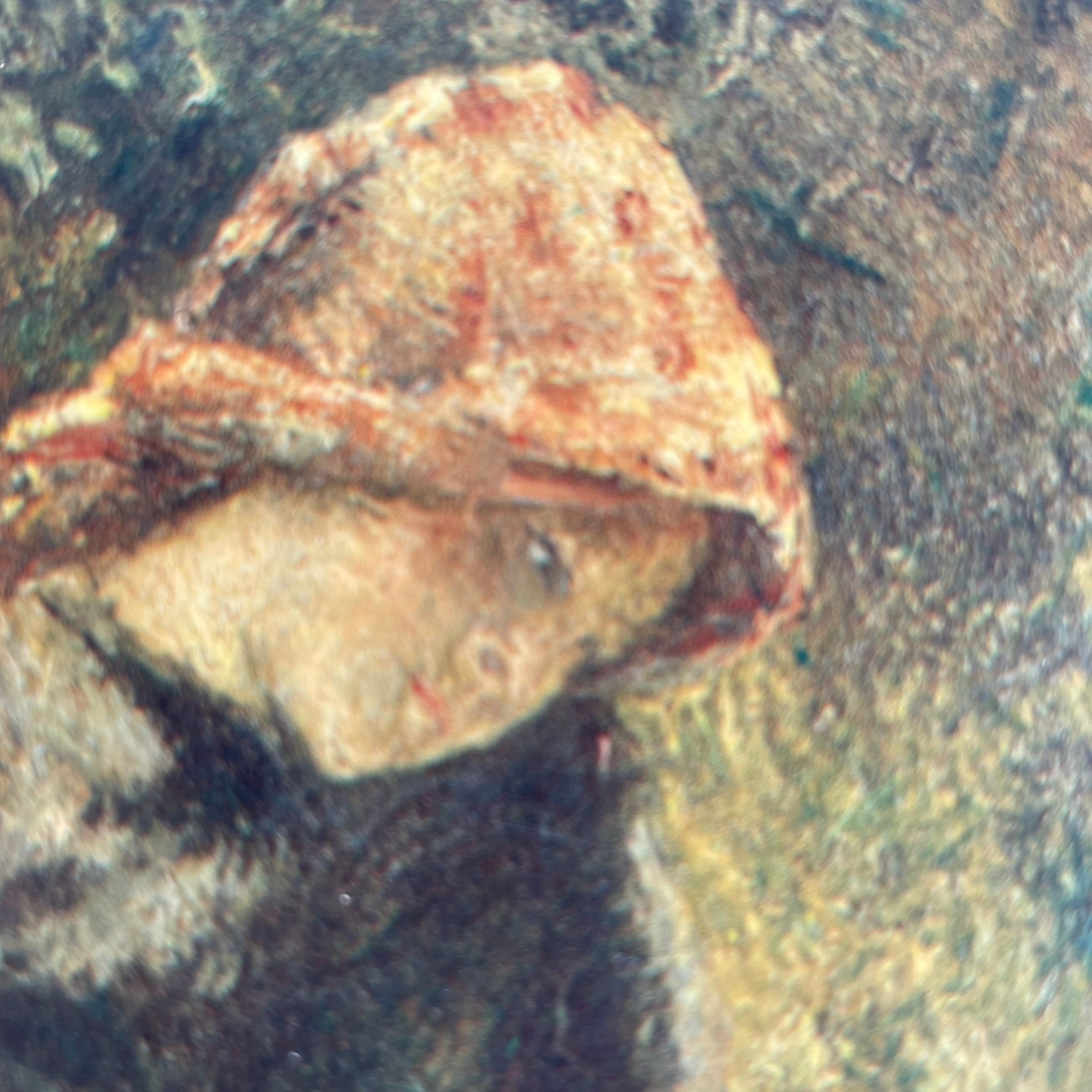 Vintage Decorative Print After Pissarro "Jeune Fille à la Baguette"