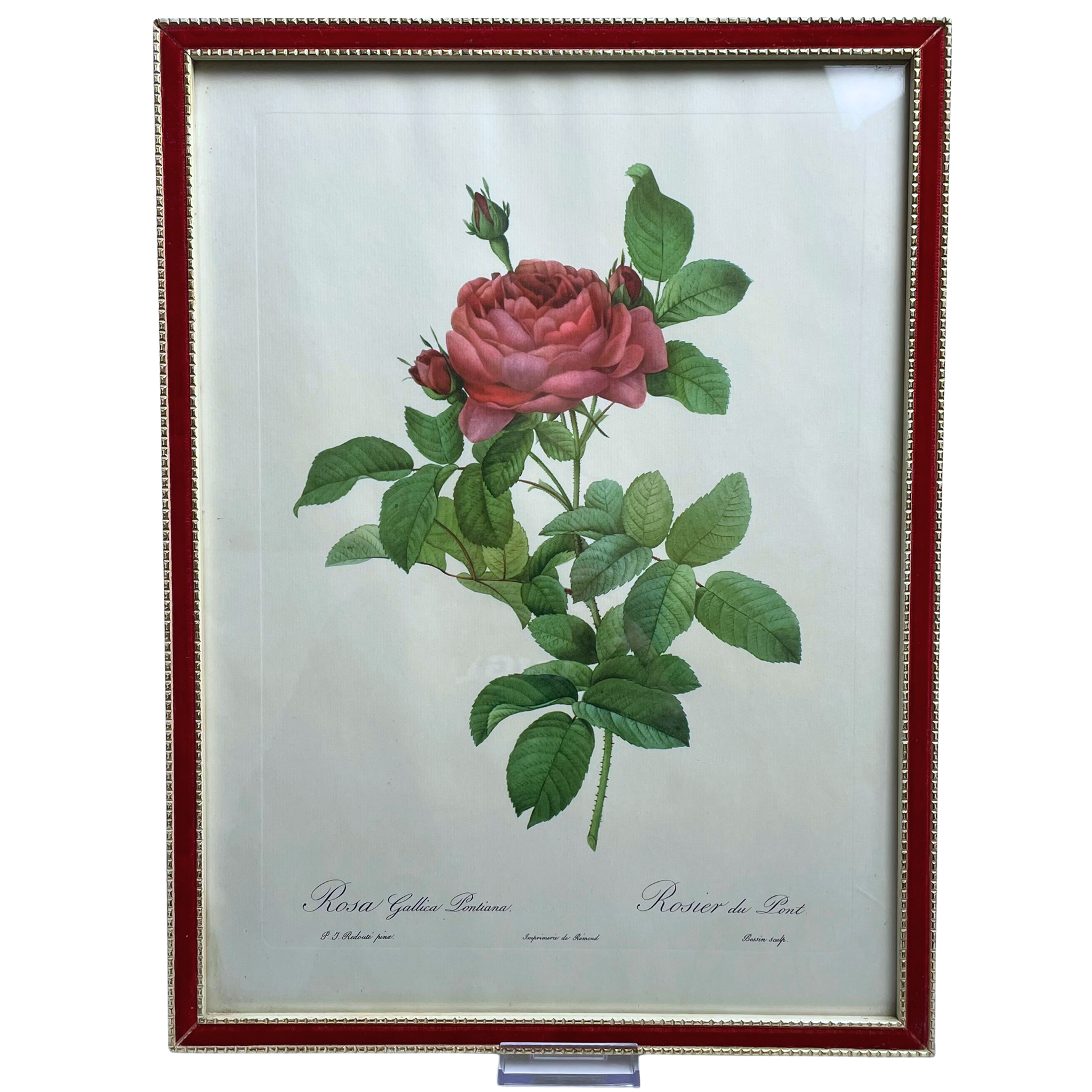 Pair of Redouté Rose Botanical Prints - Framed Vintage Red Velvet Gilt